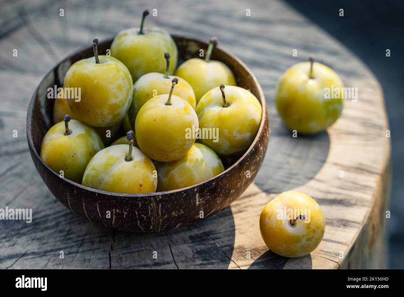 Greengage nella ciotola. Frutta fresca raccolta. Prugne verdi mature Foto Stock