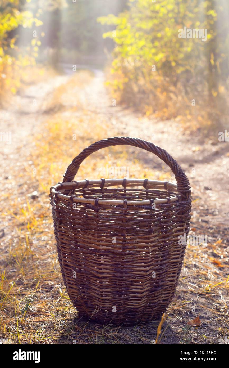 Un cesto vuoto di vimini su un sentiero sabbioso nella foresta autunnale. Messa a fuoco selettiva Foto Stock