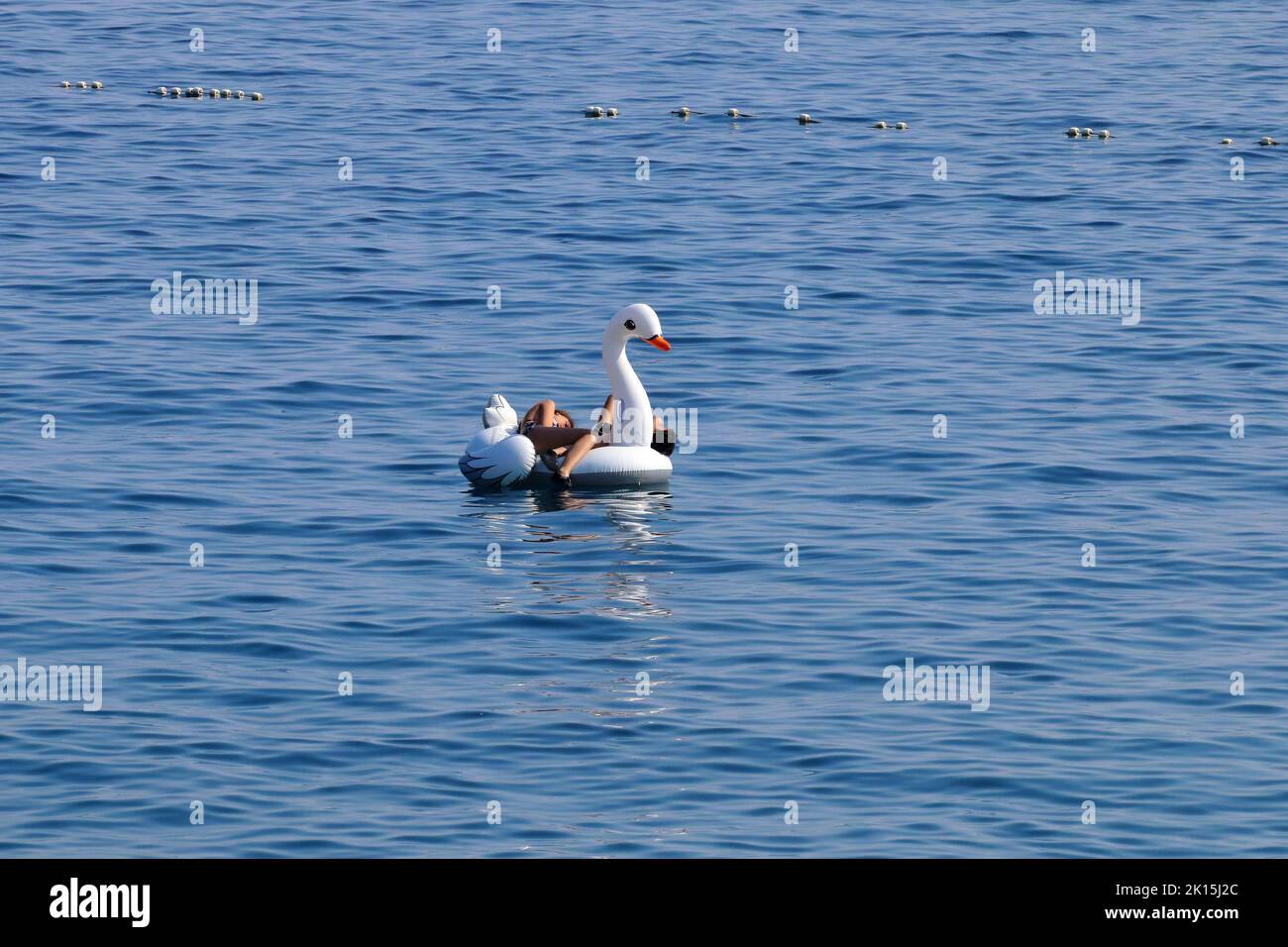 persona che si rilassa su un grande cigno gonfiabile Foto Stock