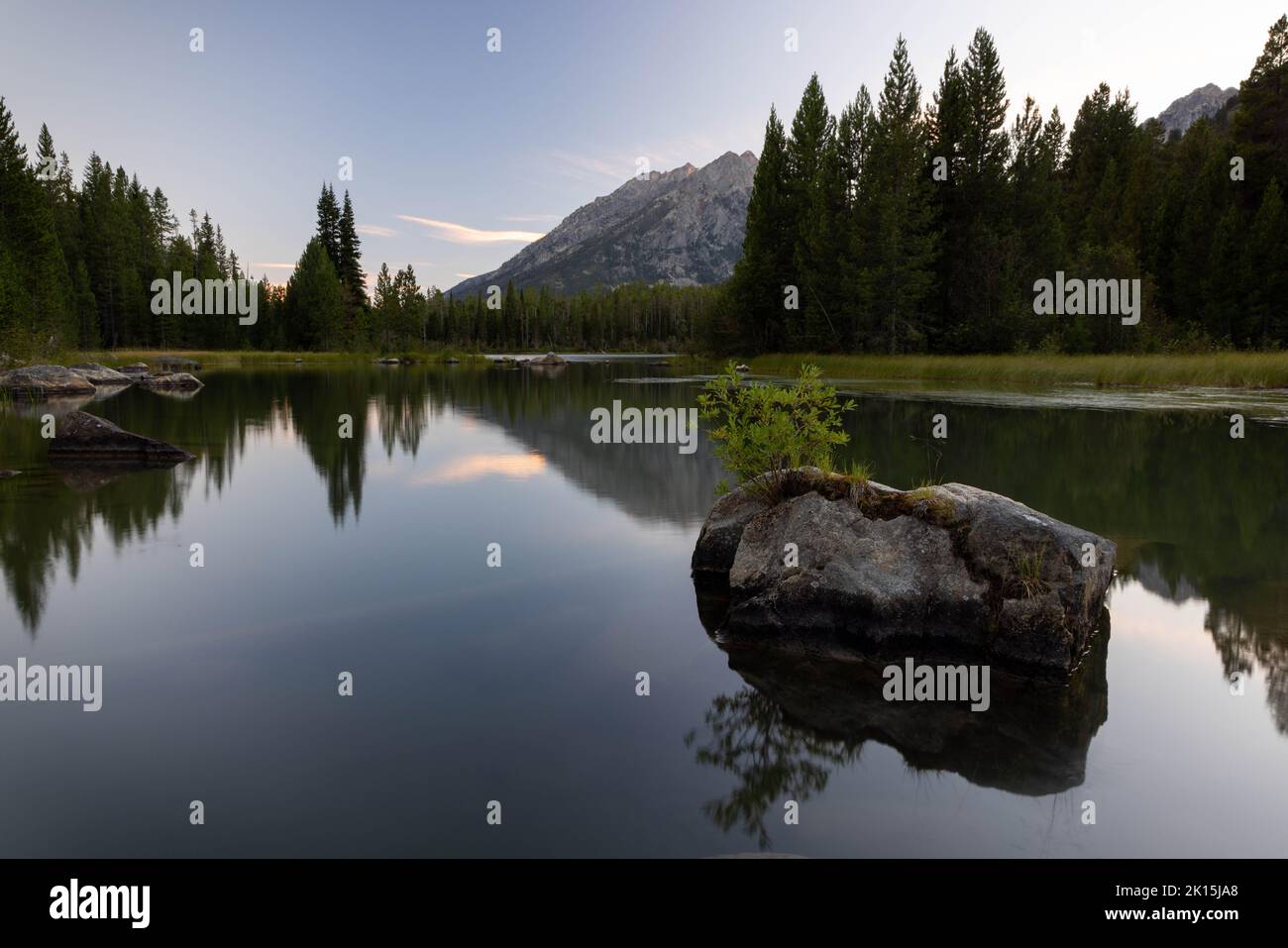 Un masso con una pianta che cresce da esso che riposa nel lago Bearpaw sotto le montagne di Teton. Grand Teton National Park, Wyoming Foto Stock