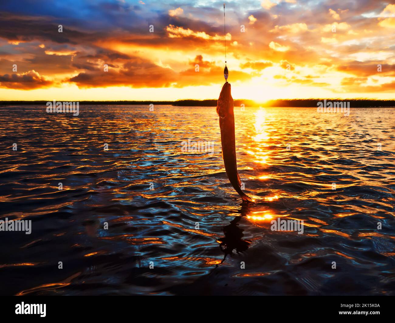 Pesca al tramonto. Cattura del pesce predatore sulla filatura. Colori del tramonto sulla superficie dell'acqua, sentiero soleggiato dal sole basso. Pike catturato su un filatore Foto Stock