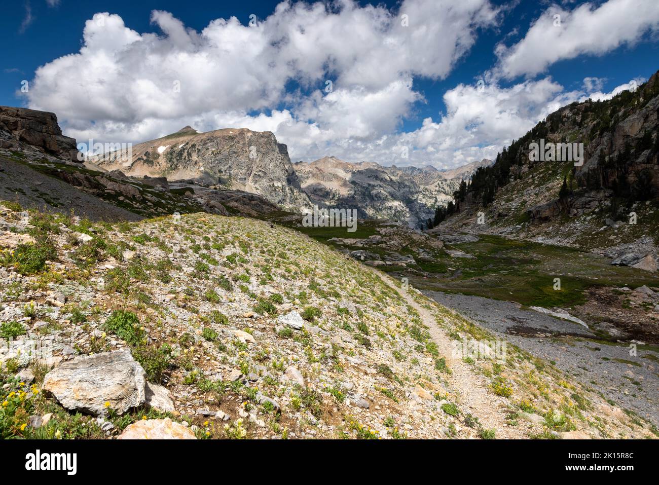 Il percorso Avalanche divide che scende nella diramazione sud del Cascade Canyon. Grand Teton National Park, Wyoming Foto Stock