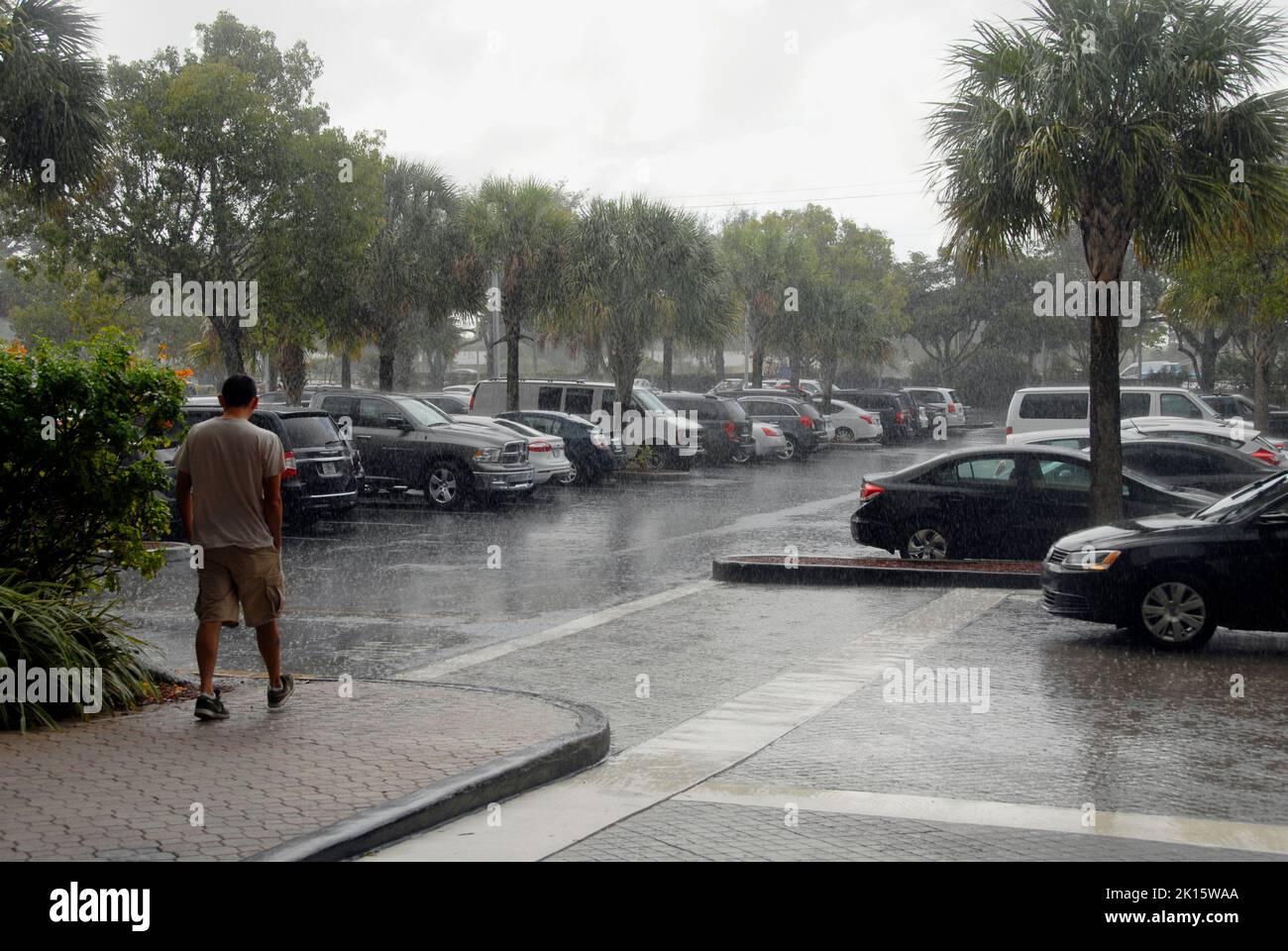 Uomo in pantaloncini che attraversa il parcheggio dell'hotel in caso di forte pioggia, Miami, Florida, USA Foto Stock