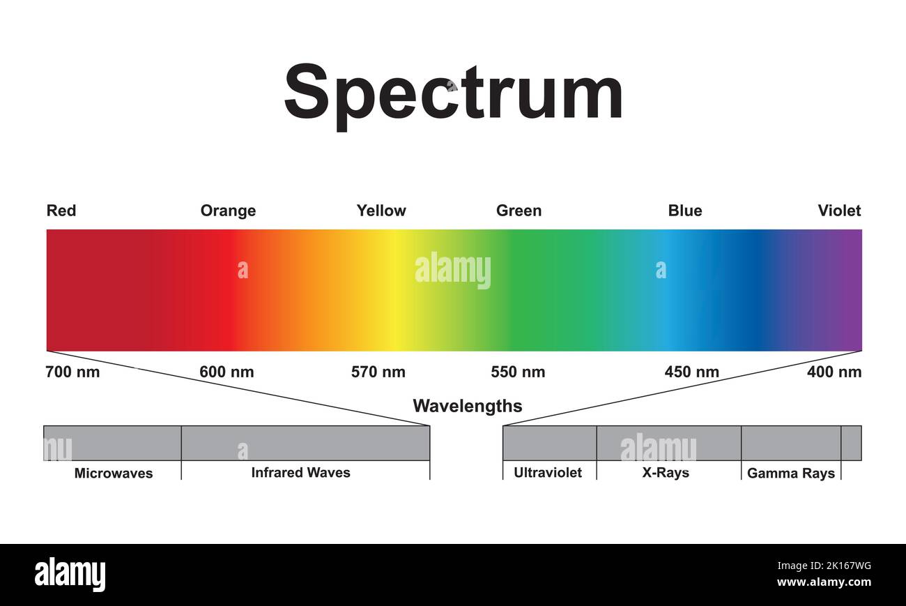 Progettazione scientifica dello spettro delle onde elettromagnetiche. Lo spettro luminoso. Simboli colorati. Illustrazione vettoriale. Illustrazione Vettoriale