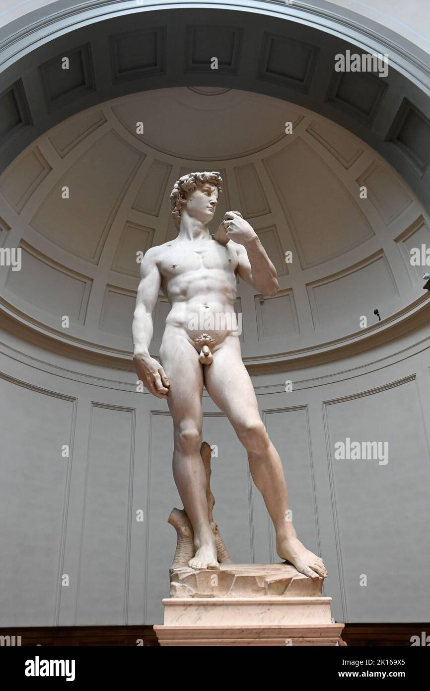 Statua del David Michelangelo famosa scultura in marmo nella Galleria Dell Accademia di Firenze - Turismo e visite turistiche di Firenze - Michelangelos David Foto Stock