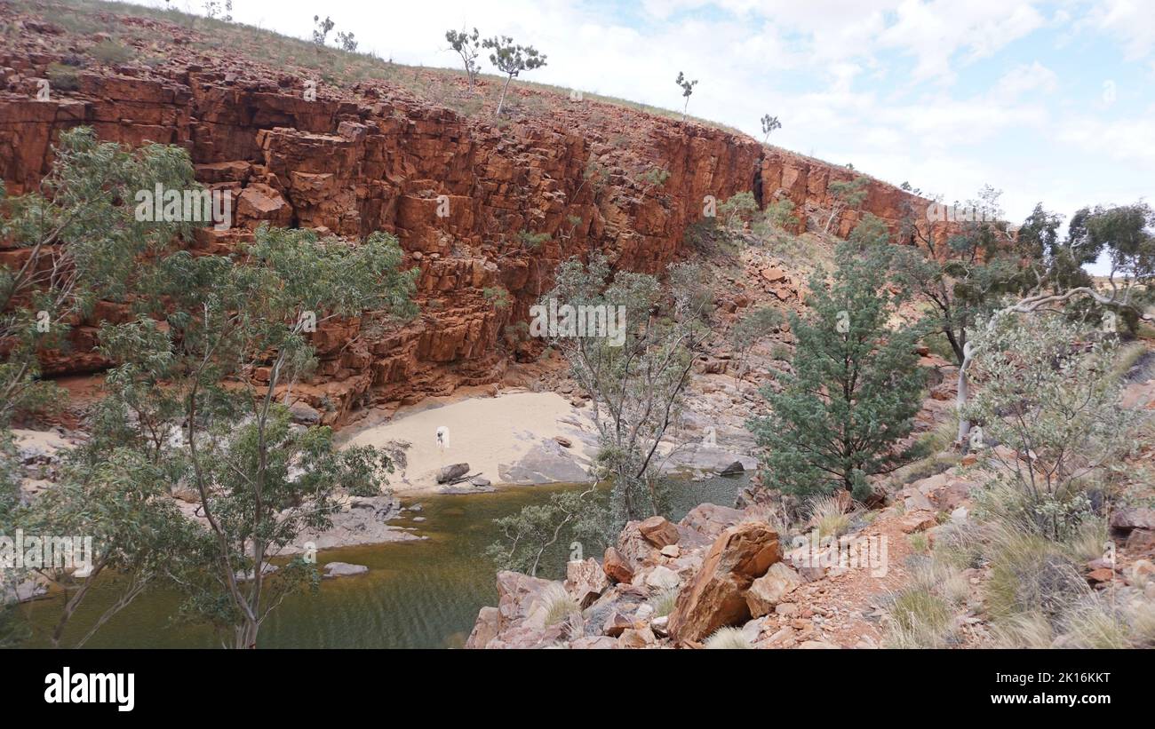 Splendida vista sulla gola rossa e l'acqua di sorgente dalla gola di Ormiston nella catena montuosa West Macdonnell nel Red Centre, Australia. Foto Stock