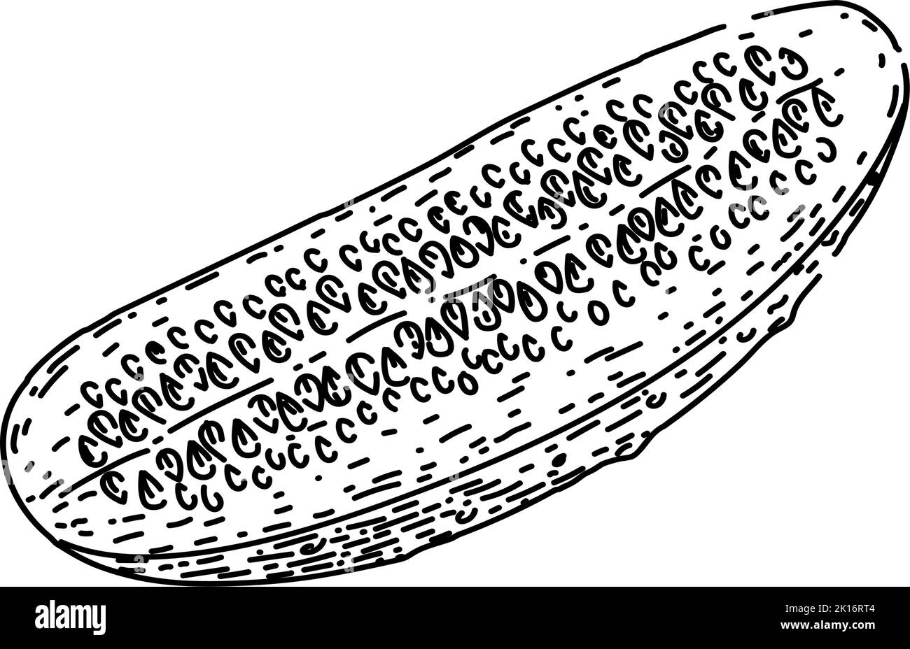 taglio cetriolo schizzo disegnato a mano vettore Illustrazione Vettoriale