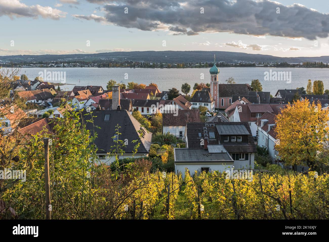 Vista su Allenbach am Bodensee verso l'isola di Reichenau al crepuscolo, Baden-Wuerttemberg, Germania Foto Stock