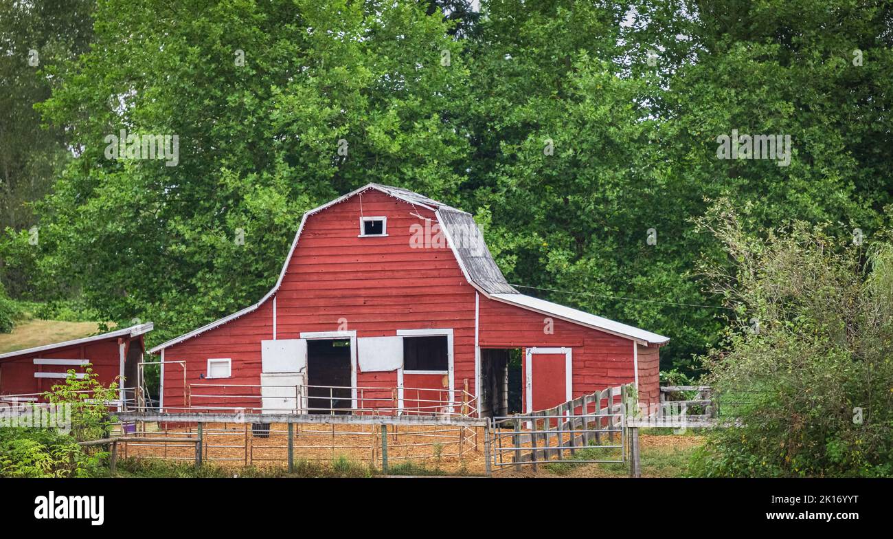 Agricoltura Paesaggio con il vecchio fienile rosso. Red Barn in Canada rurale. Foto Stock