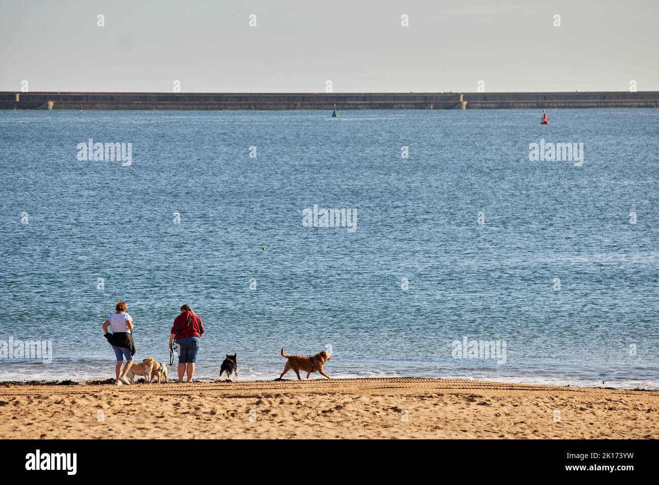 Dog Walkers a Littlehaven Beach South Shields Foto Stock