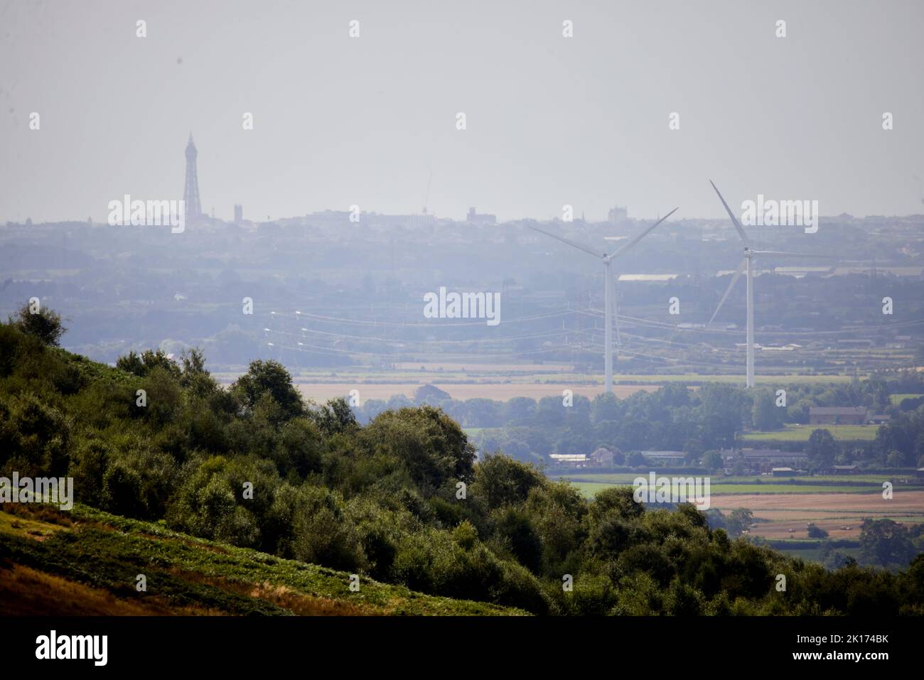 Campagna del Lancashire con la torre di Blackpool all'orizzonte Foto Stock