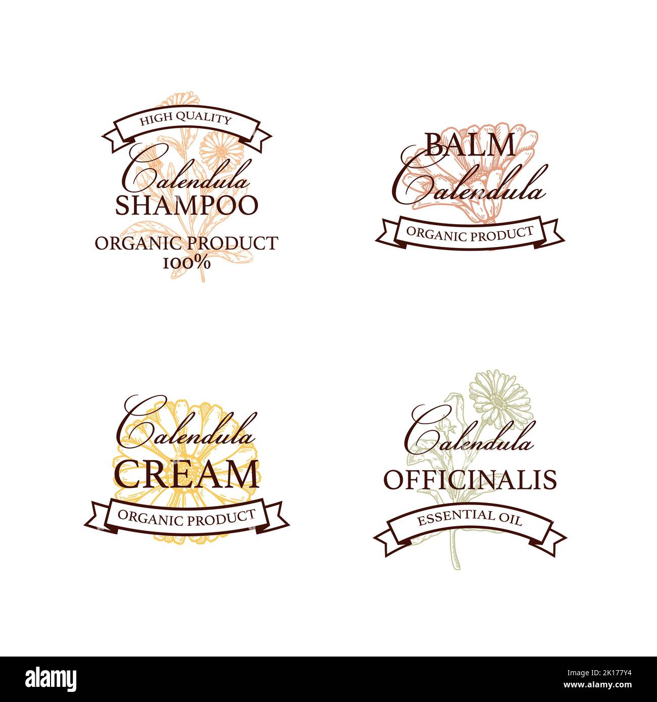 Set di design con logo di prodotti calendula vintage disegnati a mano. Illustrazione vettoriale nello stile di schizzo. Può essere utilizzato per l'imballaggio Illustrazione Vettoriale
