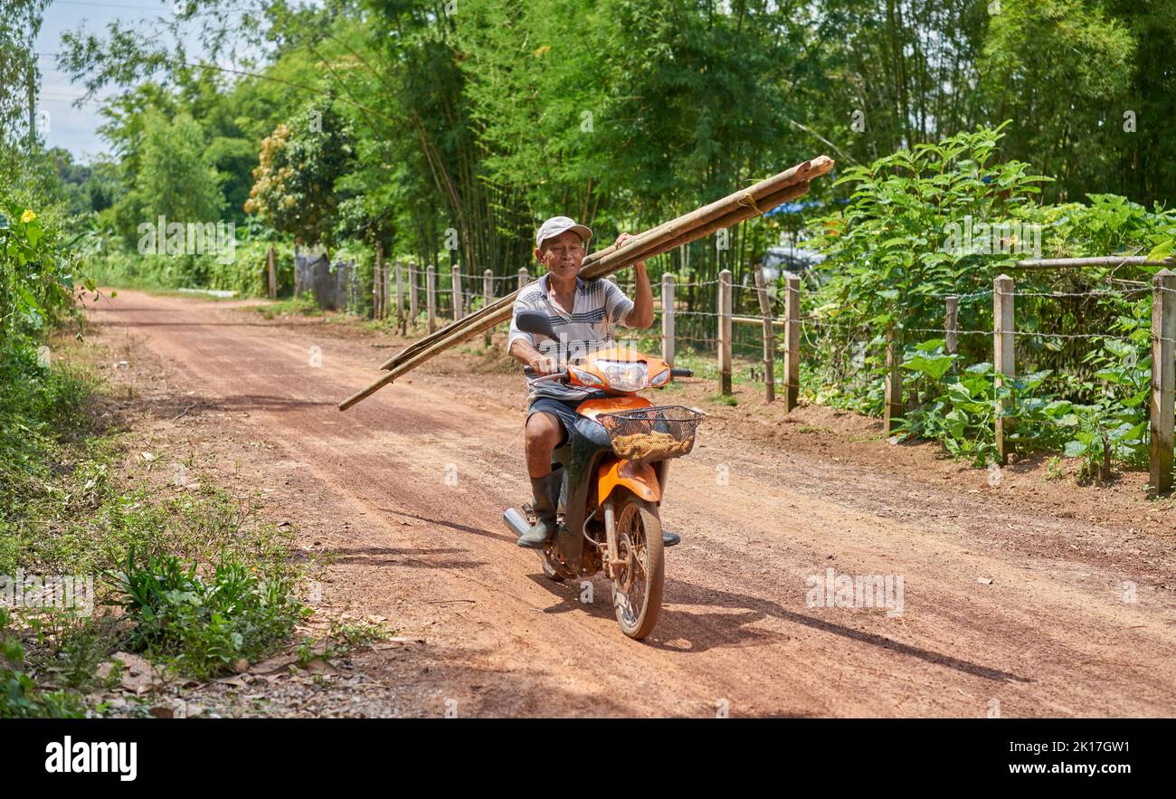 Un uomo su una motocicletta su una strada rurale porta pali di bambù sulla sua spalla. Foto Stock