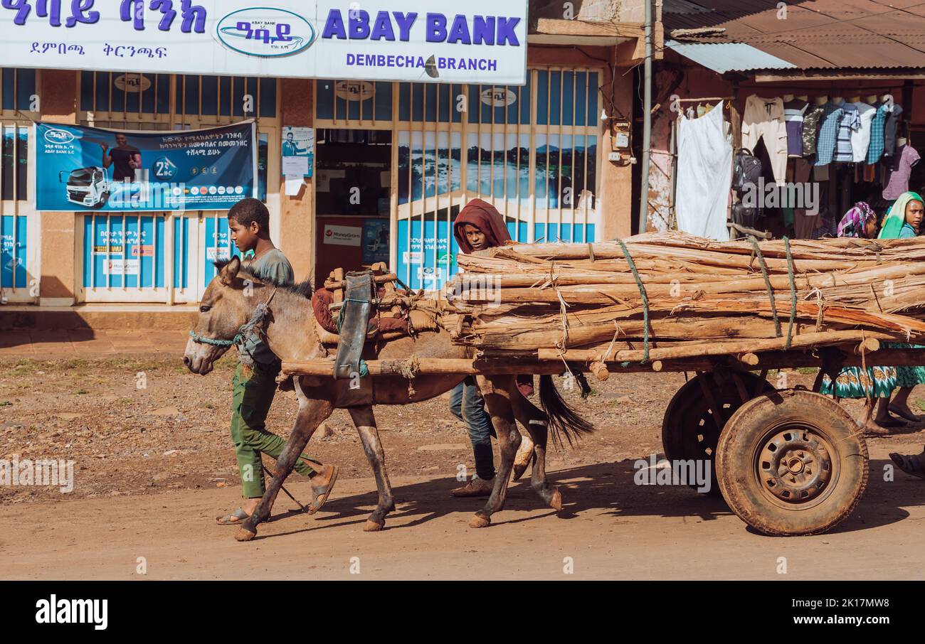 DEMEBECHA, ETIOPIA, APRILE 20,2019. Strada etiope al mattino, ragazzi con asino con carrello trasporto tronchi di legno. Demebecha, Etiopia, aprile 20. Foto Stock
