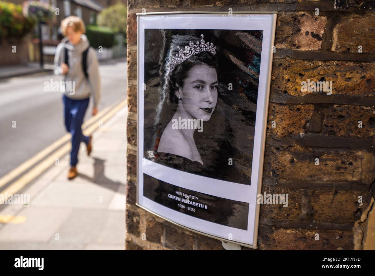 Wimbledon Londra Regno Unito. 16 settembre 2022. Un ritratto di una giovane regina Elisabetta II (1926-2022) è esposto all'ingresso del club del villaggio di Wimbledon , a sud-ovest di Londra in omaggio al passaggio del tardo monarca. Regina Elisabetta II il più lungo monarca britannico che è morto a Balmoral Castle all'età di 96 anni il 8 settembre ed è succeduto dal suo figlio maggiore re Carlo III Un servizio funerario si terrà presso l'Abbazia di Westminster il 19 settembre alla presenza di molti Capi di Stato e dignitari stranieri Credit: amer Ghazzal/Alamy Live News Foto Stock