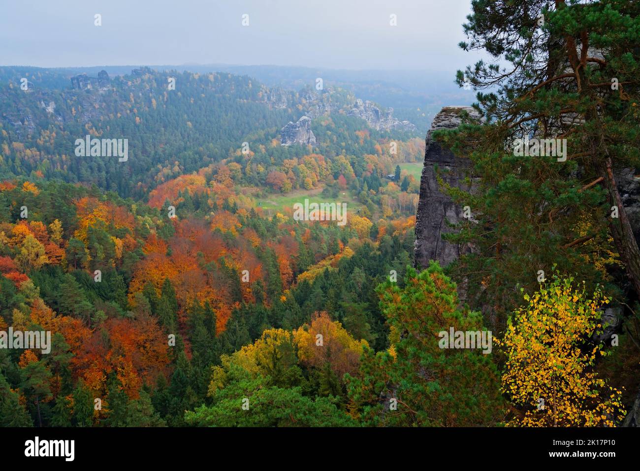 Parco Nazionale della Svizzera Sassone, fogliame autunnale, Sassonia, Germania Foto Stock