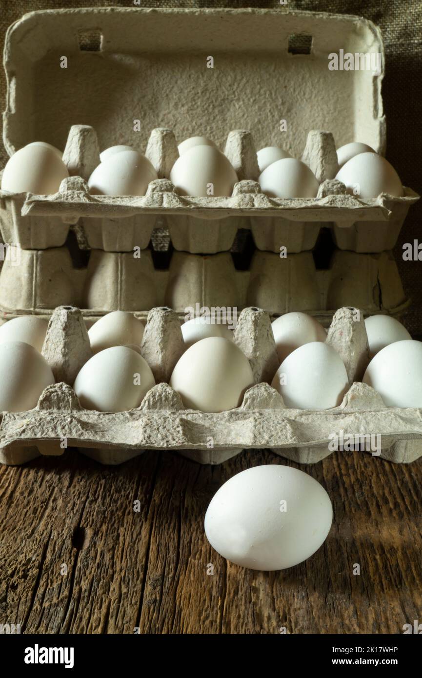 Vita morta con le uova in imballaggi ecologici di cartone. Cibo su sfondo scuro. Foto Stock