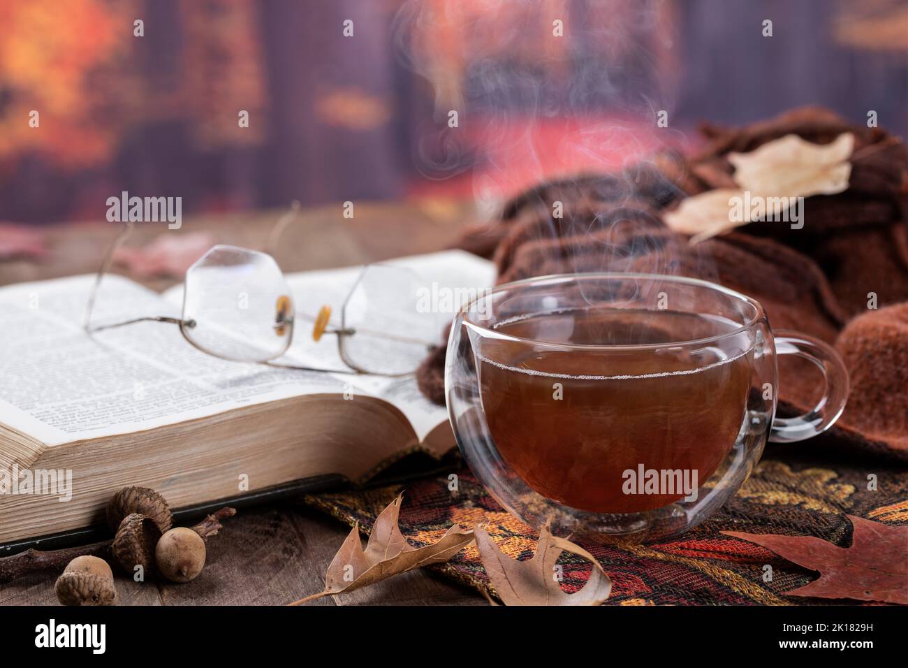 Tazza di tè caldo con libro e coperta su un tavolo rustico in legno con sfondo autunnale Foto Stock