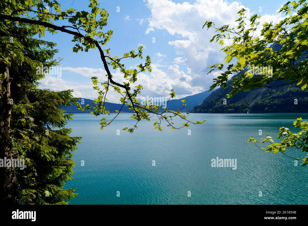 Acque verdi smeraldo del Walchensee o del Lago di Walchen, uno dei laghi alpini più profondi e grandi della Germania (Baviera) Foto Stock
