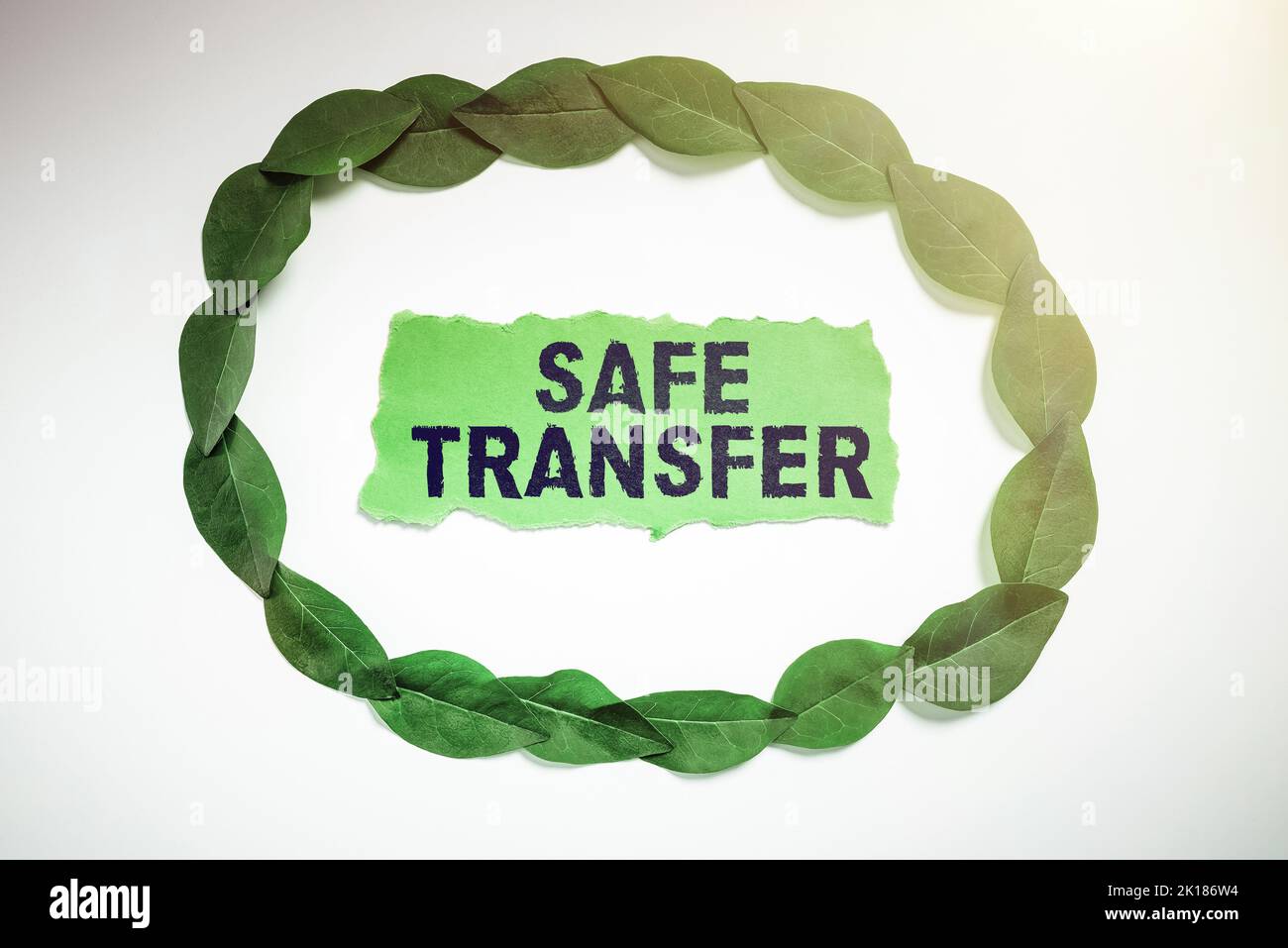 Ispirazione che mostra il segno trasferimento sicuro. Panoramica aziendale Trasferimenti tramite bonifico elettronico e non su carta transazione Foto Stock