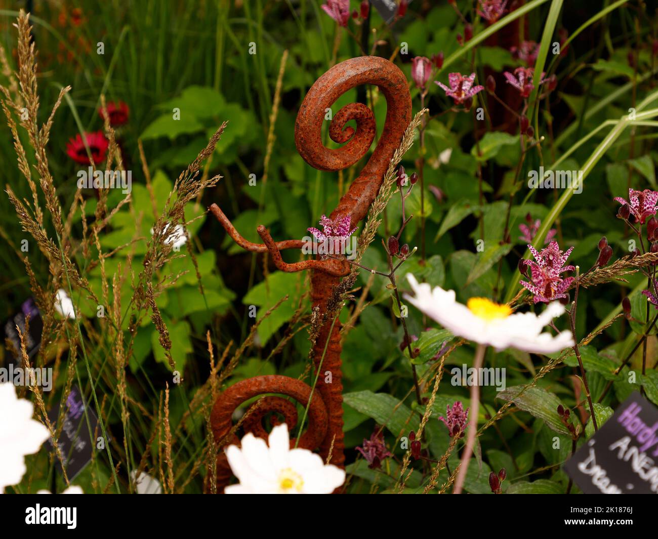 Arrugginito trovato oggetto visto nel giardino nel Regno Unito in estate. Foto Stock