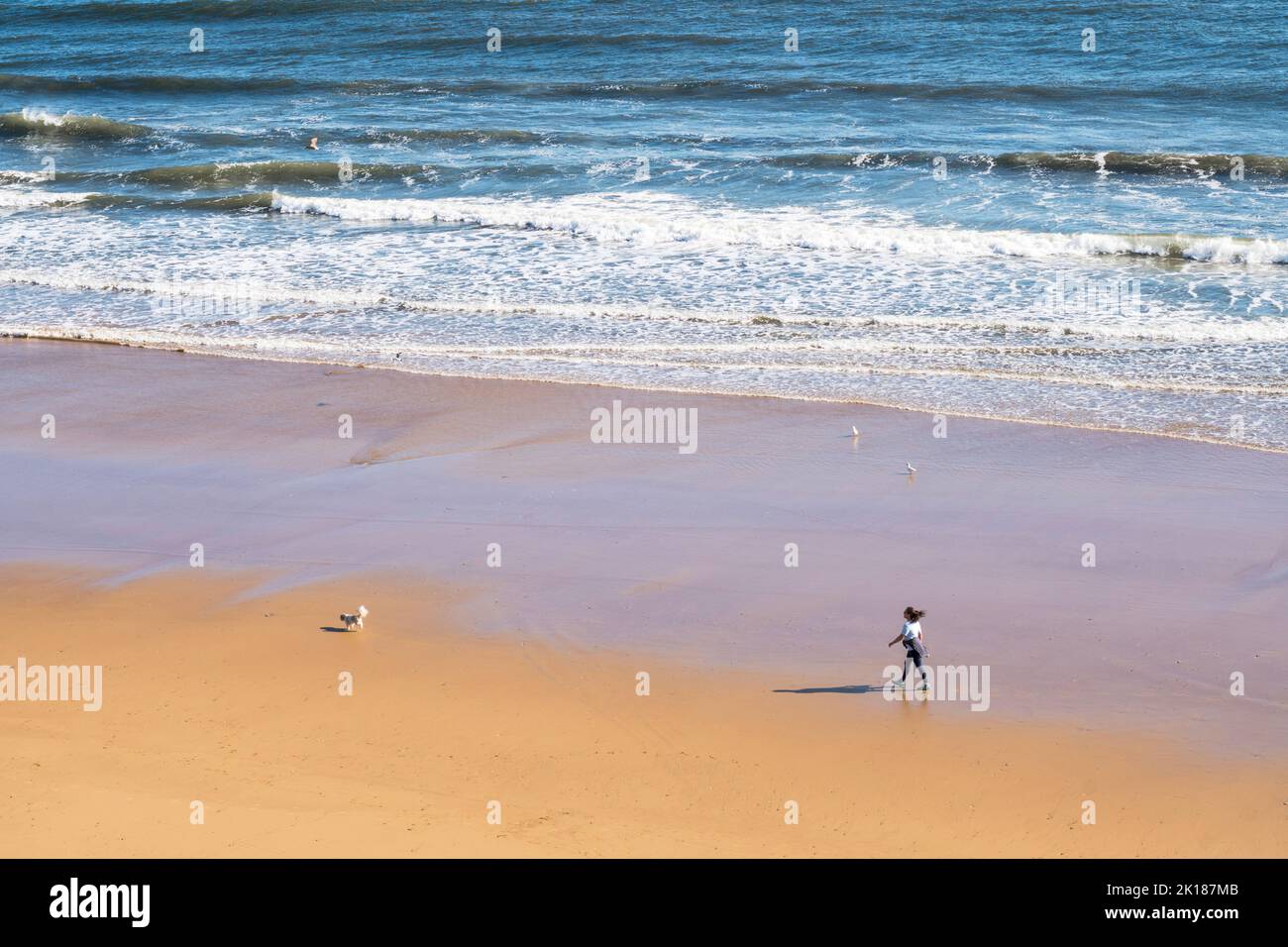 Una donna che cammina il suo cane sulla spiaggia di Roker nel sole di settembre, Sunderland, Inghilterra, Regno Unito Foto Stock