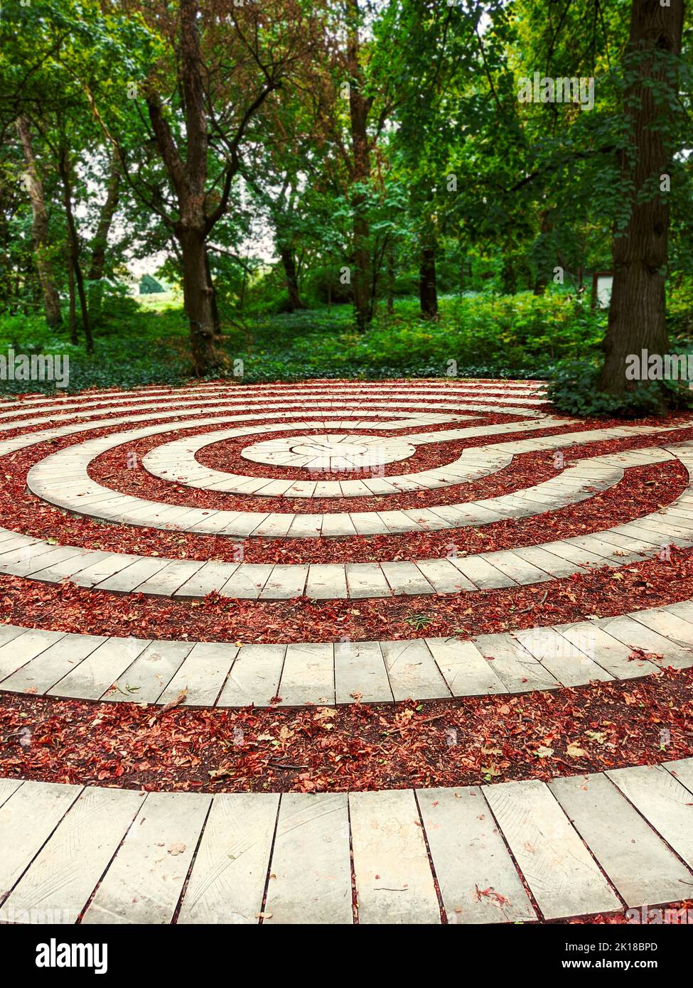 architettura a forma rotonda con pietre all'interno della foresta, arboreto Foto Stock