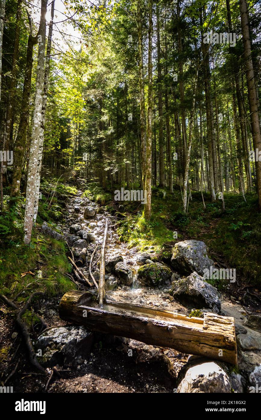 Vista di un tronco di alberi di legno che serve come un abbeveratoio per la fornitura continua di acqua dolce per gli escursionisti sulle montagne austriache Foto Stock