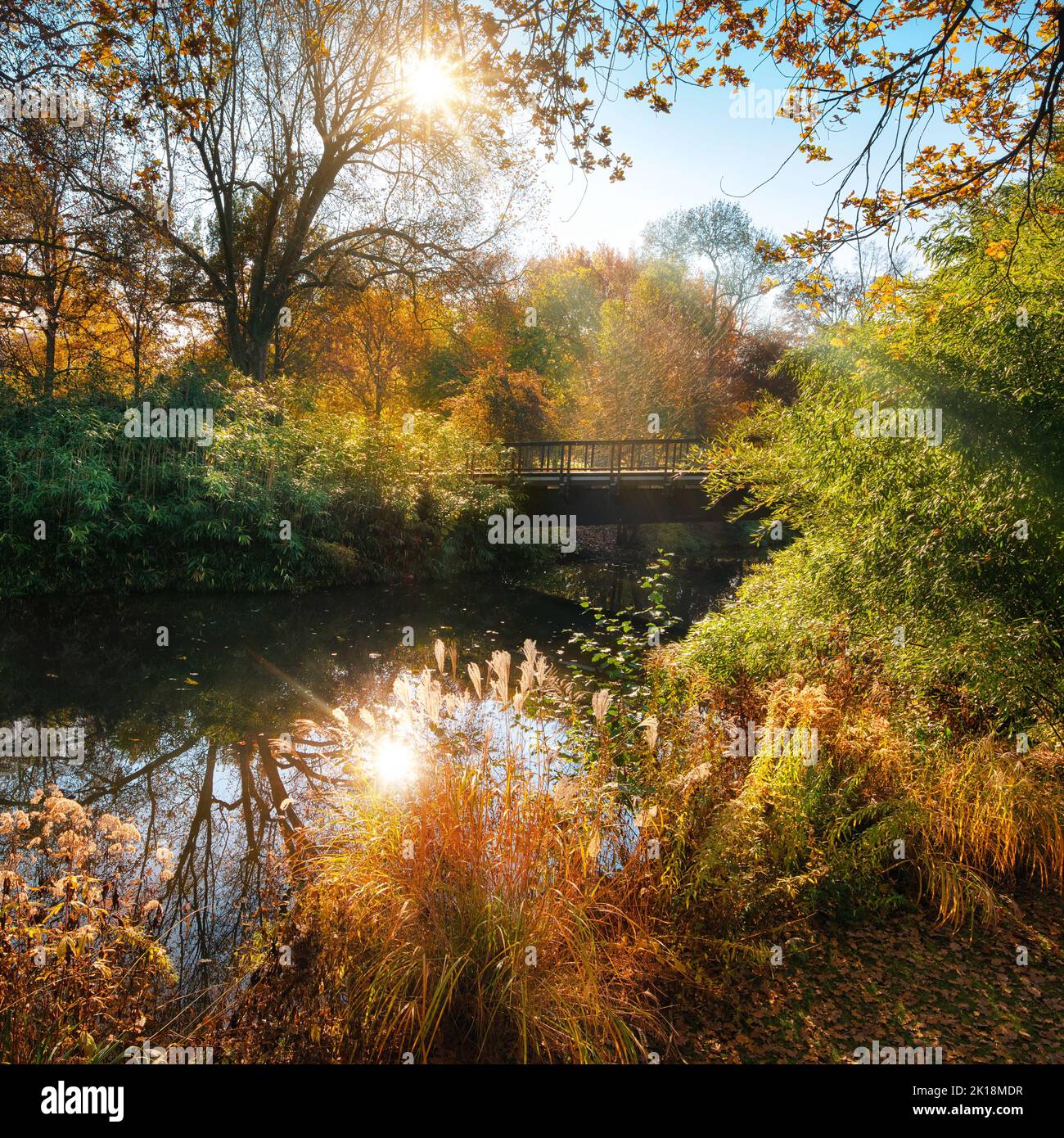 Colorato scenario autunnale in un parco con il sole riflesso in acqua, cielo blu e bella vegetazione che incornicia la scena Foto Stock