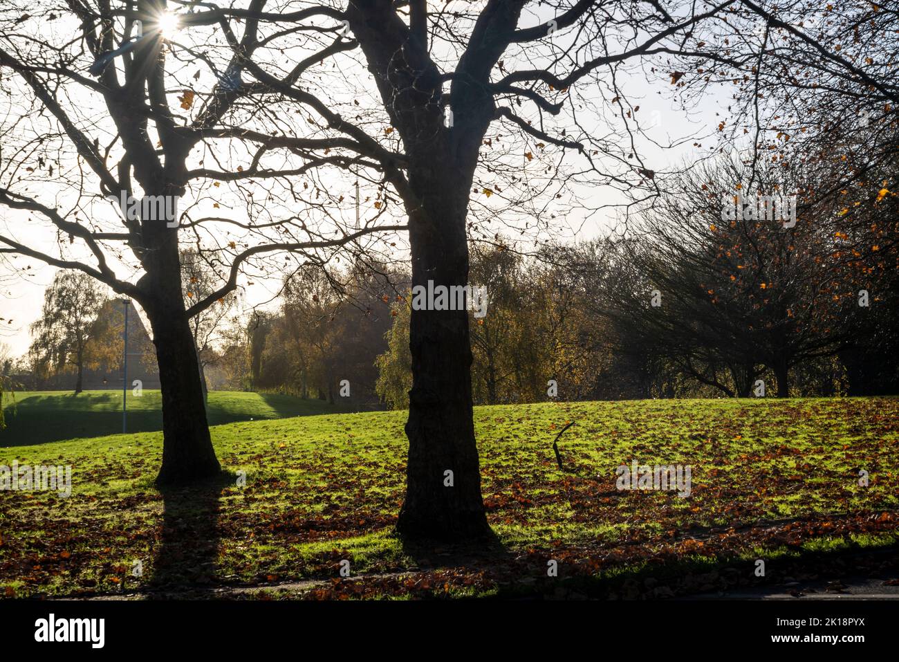 Autunno a Crystal Palace Park, Londra, Inghilterra, Regno Unito Foto Stock