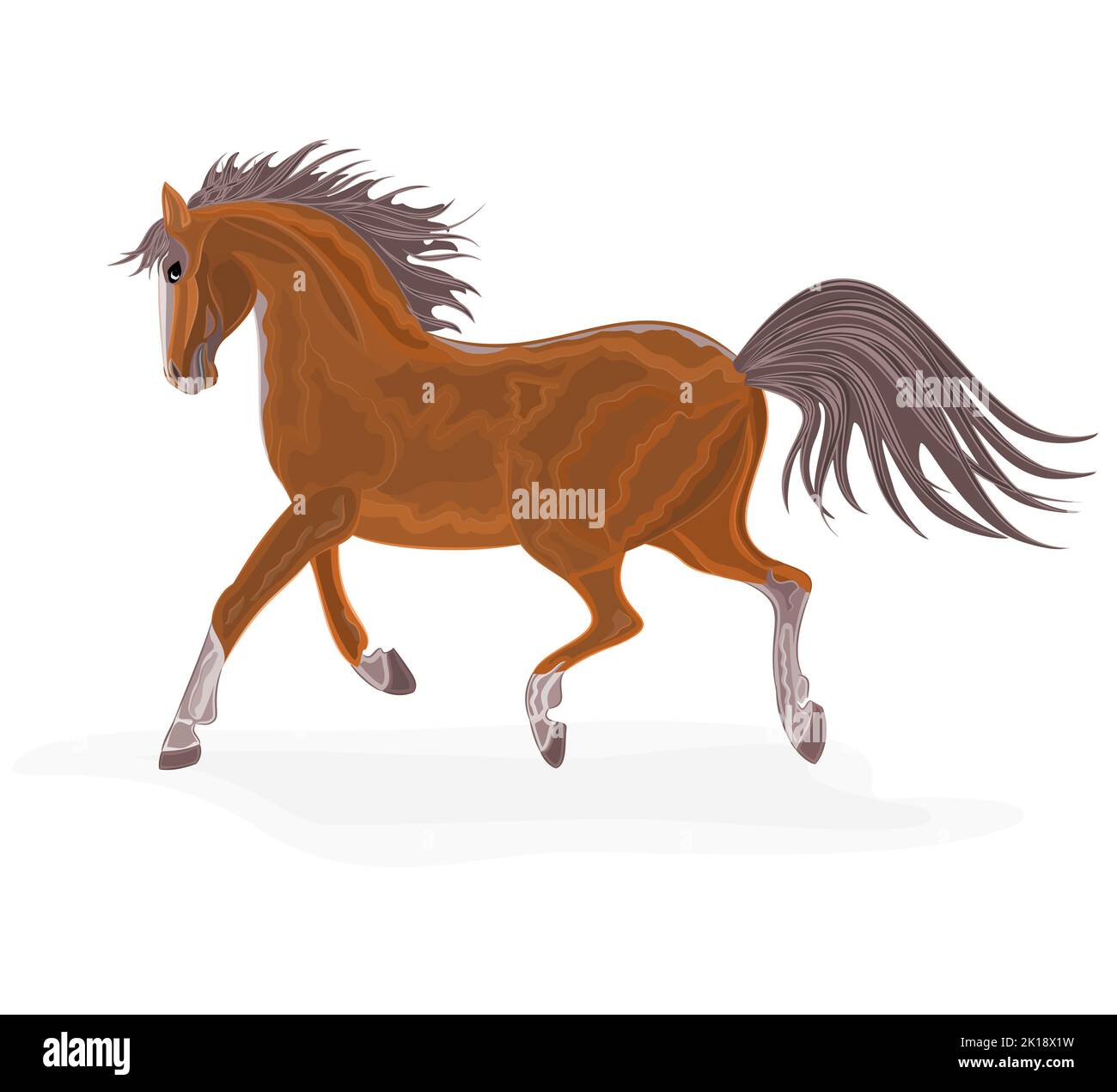 Illustrazione del vettore cavallo marrone Illustrazione Vettoriale