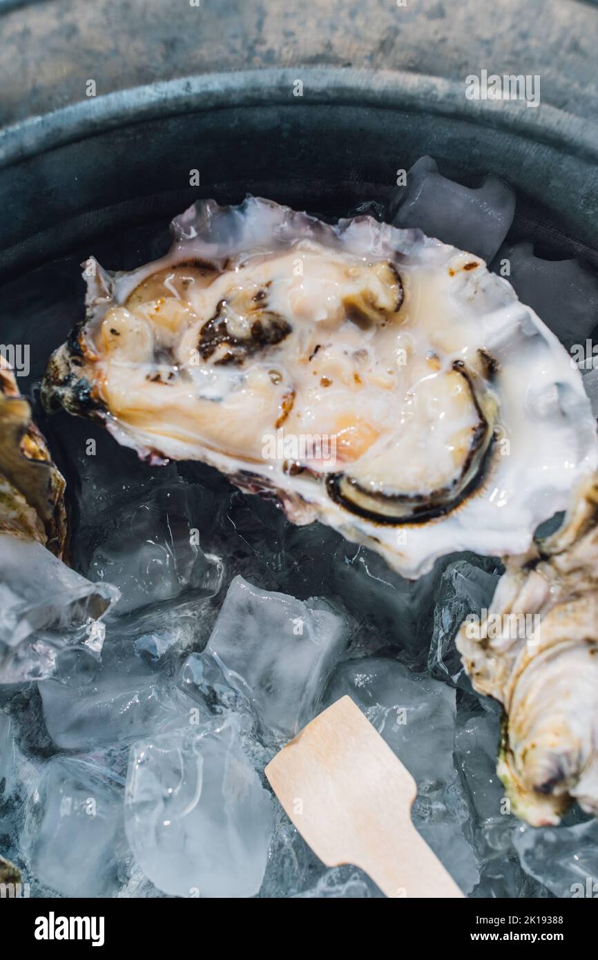 ostriche fresche su semi conchiglia su ghiaccio al ristorante di pesce Foto Stock