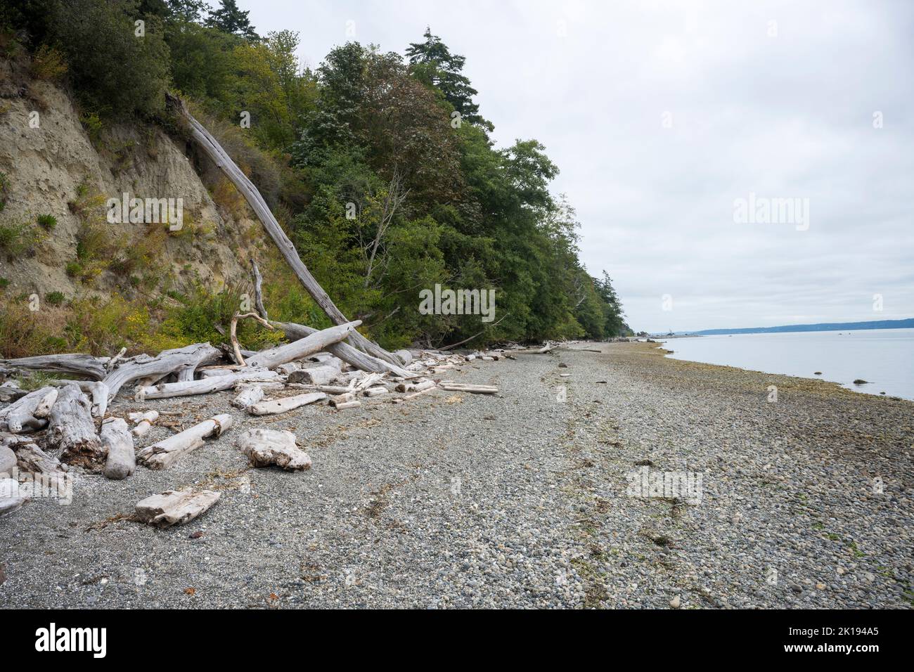 La spiaggia rocciosa del Camano Island state Park a Camano Island, Island County, Washington state, USA. Foto Stock