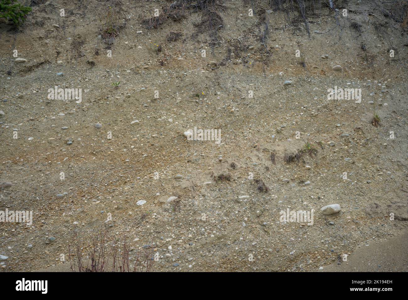 Particolare della scogliera (spiaggia sopraelevata) sopra la spiaggia rocciosa del Camano Island state Park sull'Isola di Camano, Island County, Washington state, USA. Foto Stock