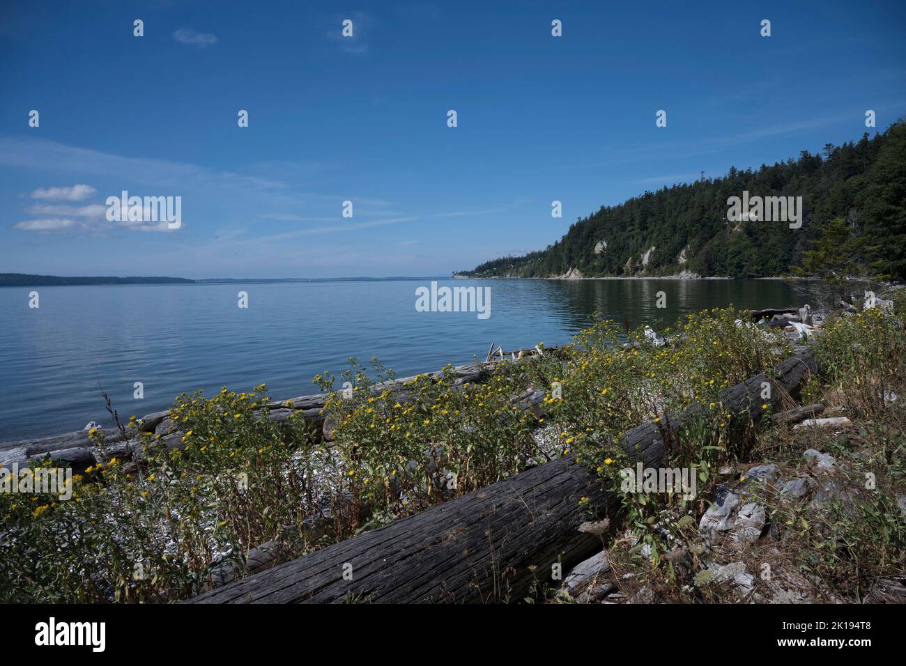 Vista della spiaggia al Cama Beach state Park sull'isola di Camano, Island County, Washington state, USA. Foto Stock