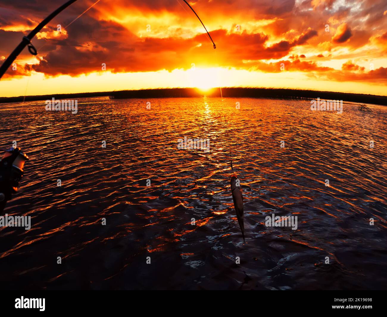 Pesca al tramonto. Cattura del pesce predatore sulla filatura. Colori del tramonto sulla superficie dell'acqua, sentiero soleggiato dal sole basso. Nerfling catturato su un filatore. Foto Stock