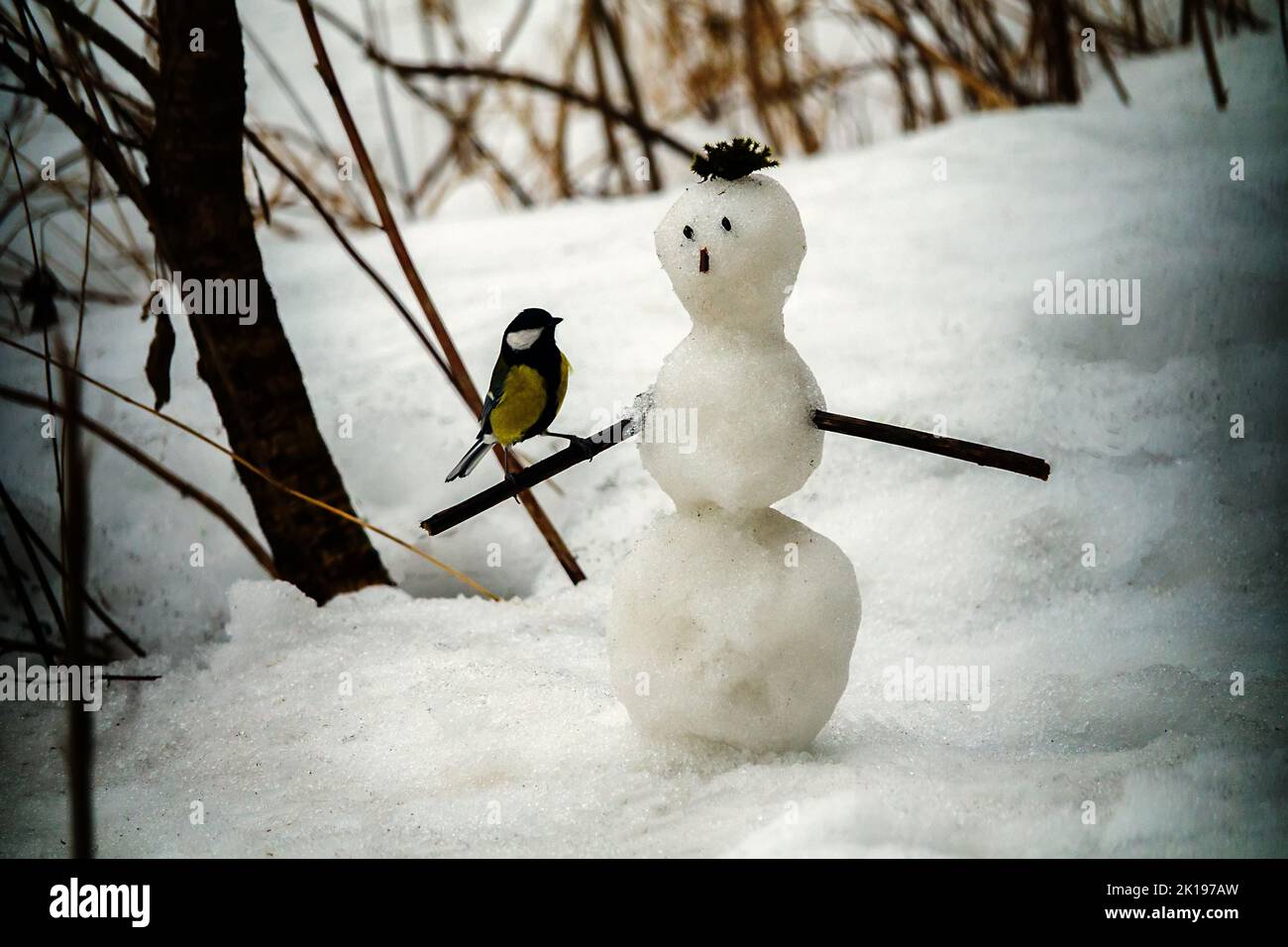Storia primaverile sulla fine dell'amicizia di uno snowman e di un chickadee. Un pupazzo di neve poco triste perché sta andando fondersi e una tit grande allegra perché sp Foto Stock
