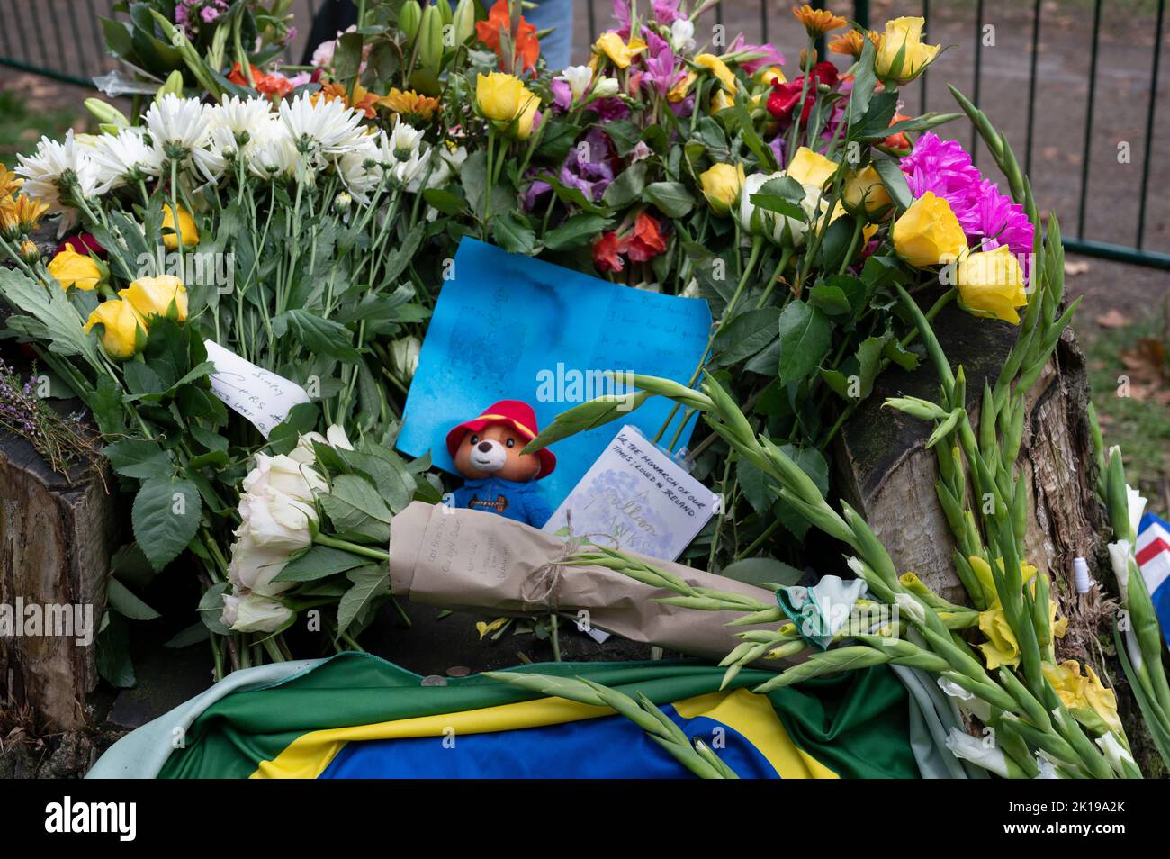 Il 14th settembre, cinque giorni dopo la morte della regina Elisabetta 11, la gente continua a lasciare tributi floreali a Green Park, Londra, Inghilterra. Foto Stock