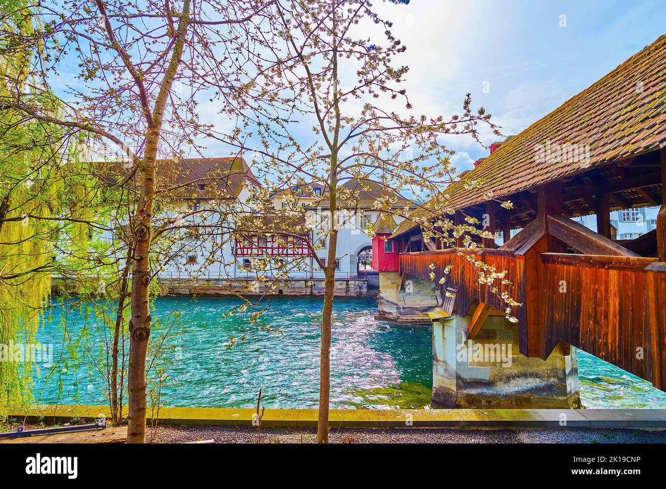 Inizio primavera a Lucerna con ciliegi in fiore sulla riva del fiume Reuss, sul ponte Spreuerbrucke, in Svizzera Foto Stock