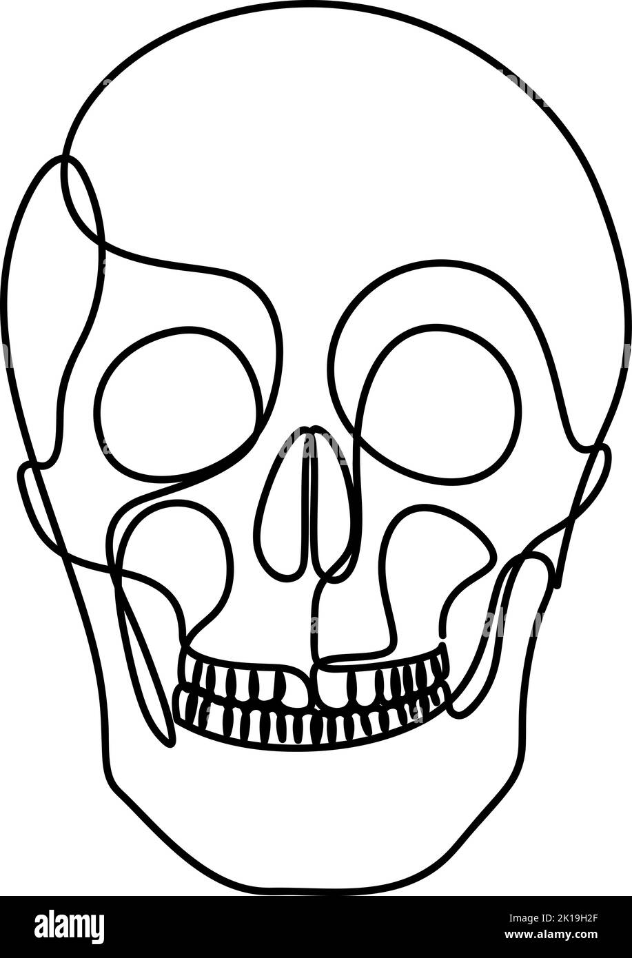 Una linea di organi umani design silhouette. Astratto cranio umano disegnato a mano contorno. Concetto di anatomia. Stile artistico a linea continua. Illustrazione vettoriale Illustrazione Vettoriale