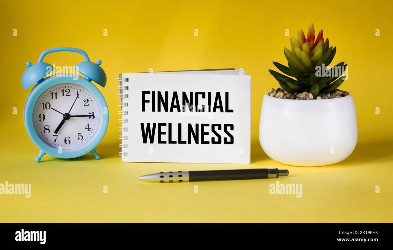 Testo del benessere finanziario scritto su blocco note e sfondo giallo con orologio e cactus Foto Stock Testo del benessere finanziario scritto su blocco note e sfondo giallo con orologio e cactus Foto Stock