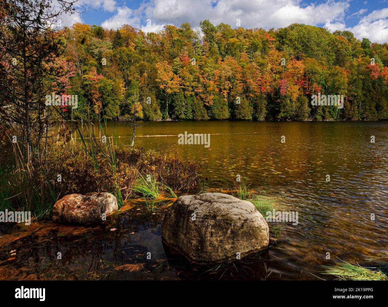 Il colore autunnale circonda la riva del lago Hugoboom nella Hiawatha National Forest, Delta County, Michigan Foto Stock