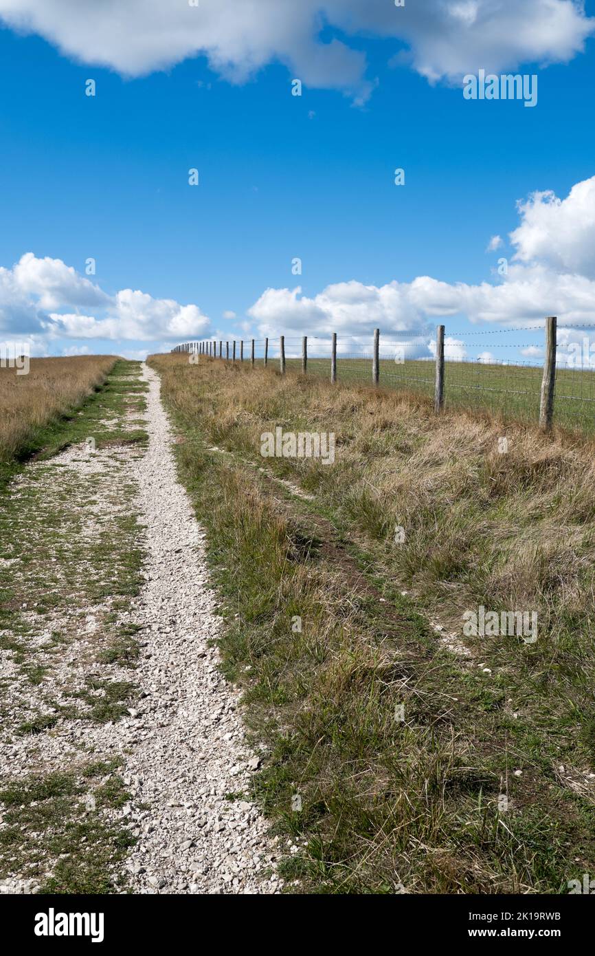 Percorso costiero ben calpestato a Studland, Poole nel Dorset UK Foto Stock