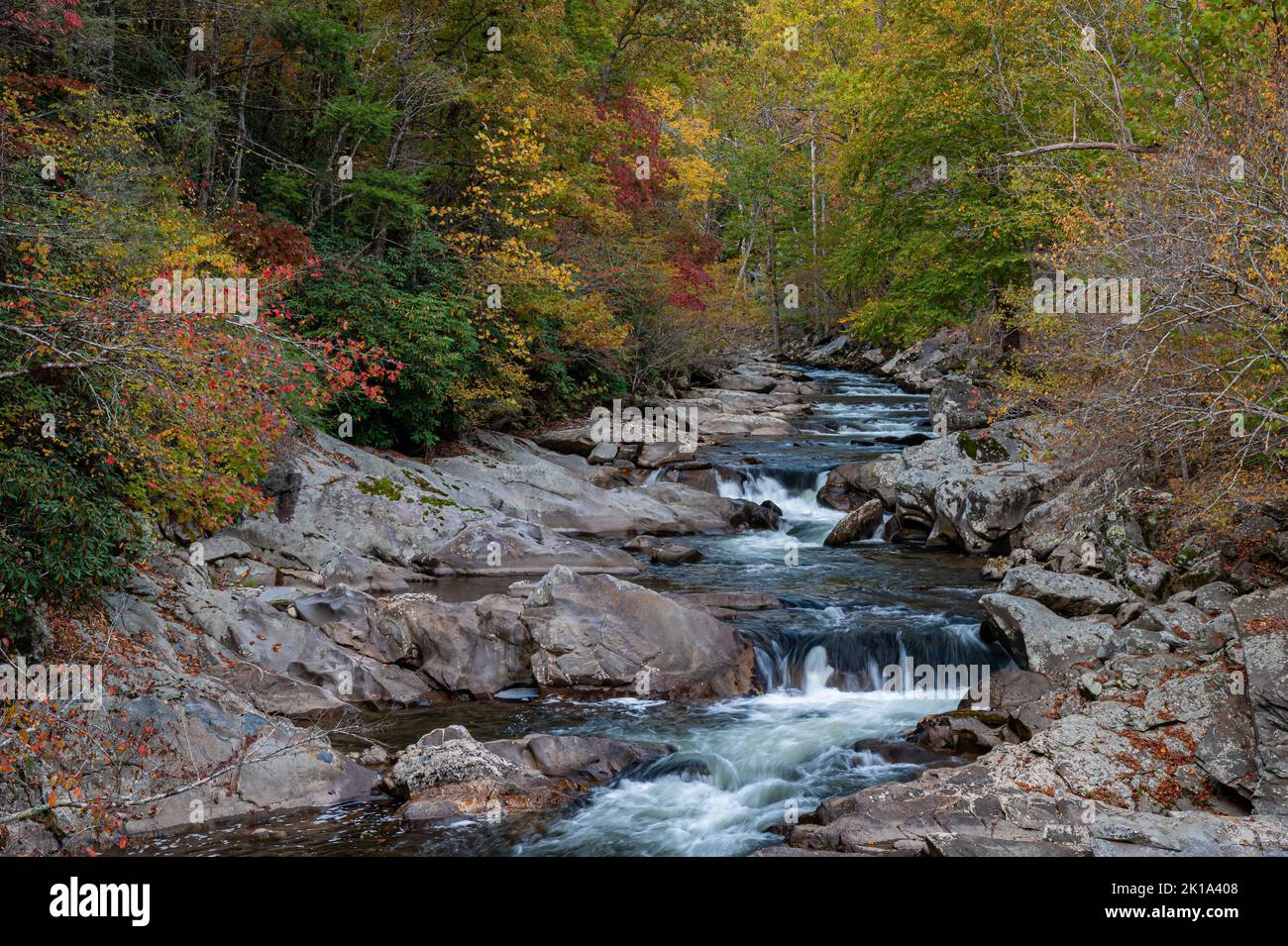 I colori autunnali si mostrano lungo il Little River da un'area chiamata 'Lavelli' nel Great Smoky Mountains National Park, Blount County, Tennessee Foto Stock