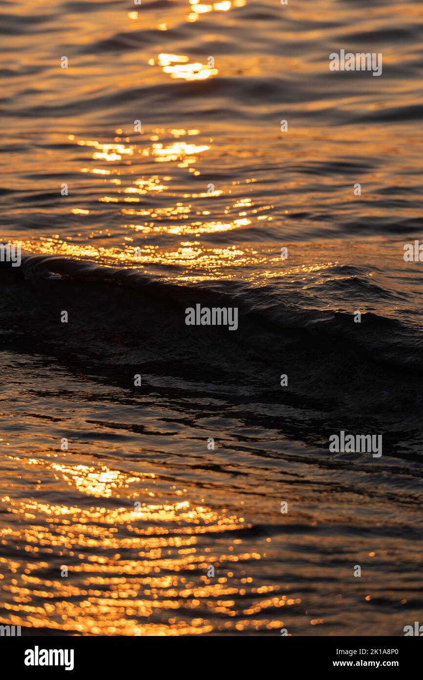 Ripple acqua mare oceano superficie con luce tramonto dorato. Primo piano dell'onda di mare Foto Stock