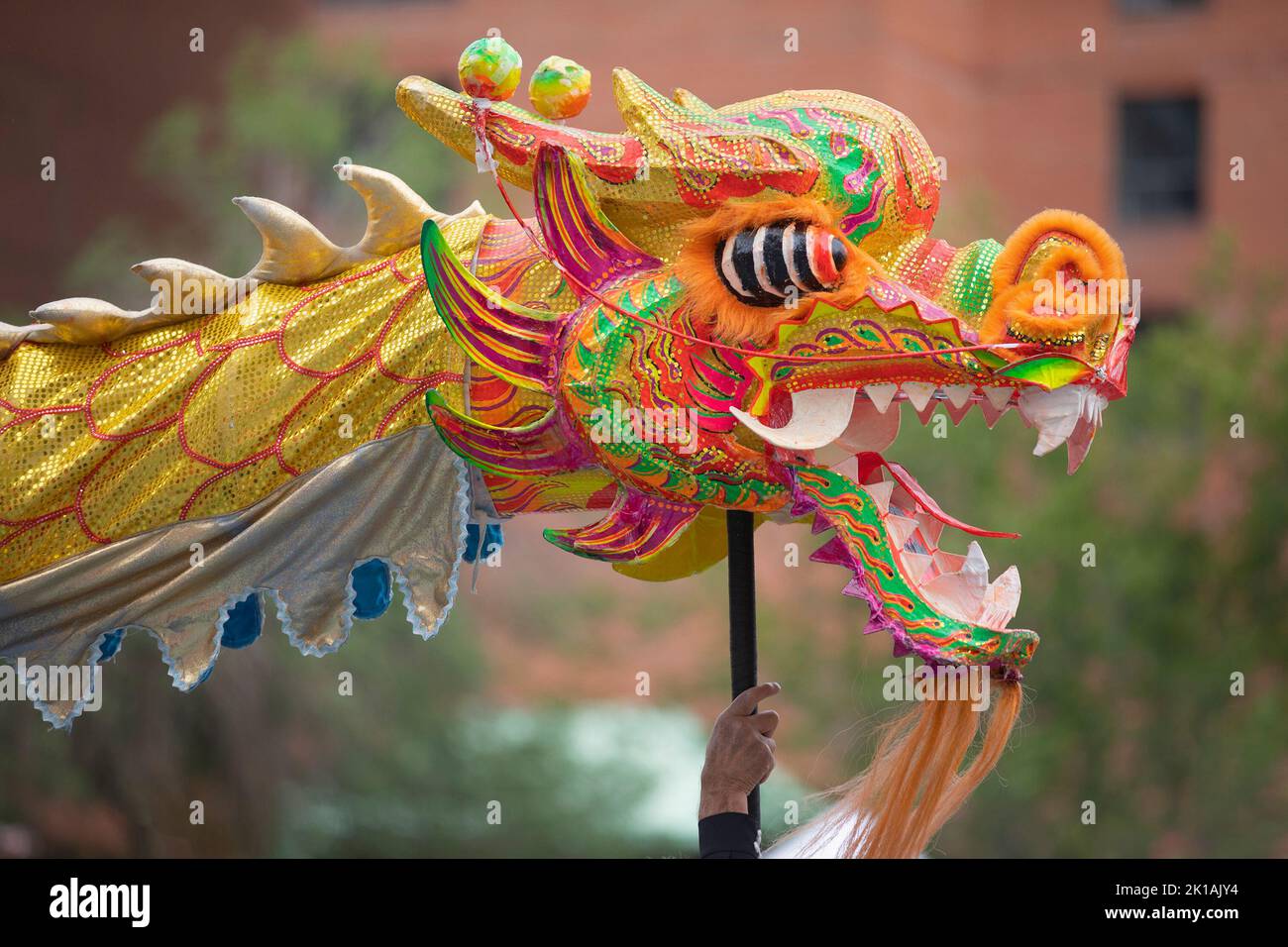 Danza tradizionale del drago cinese con primo piano della testa del drago al Chinatown Street Festival 2022 a Calgary, Canada Foto Stock