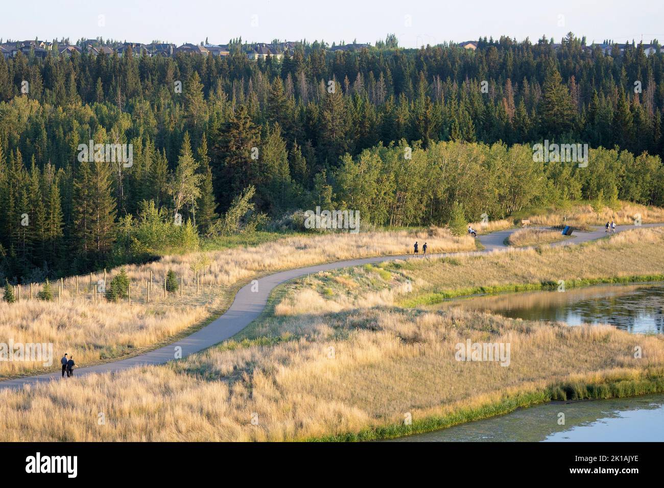 Percorso a piedi attraverso il Fish Creek Provincial Park, un popolare parco urbano di Calgary Foto Stock