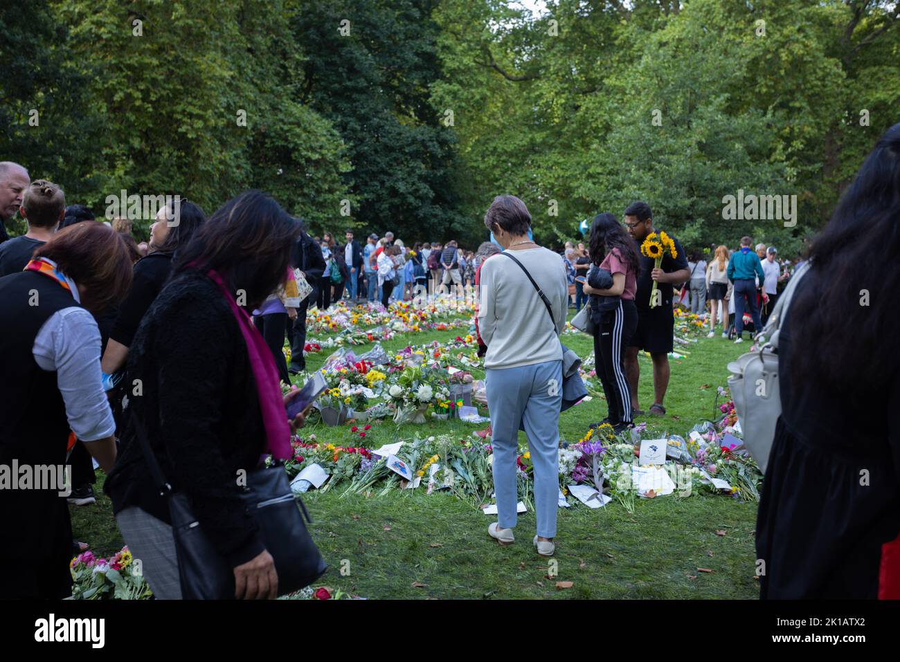 Intorno a Londra nell'anno del passaggio della regina Elisabetta II Foto Stock