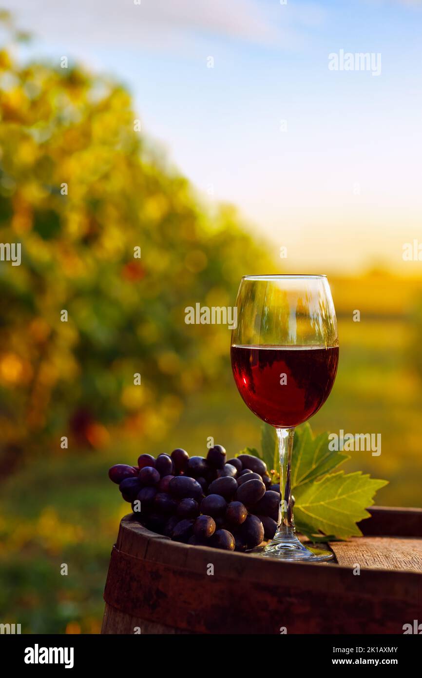 bicchiere di vino rosso e uva su vecchio barile di legno Foto Stock