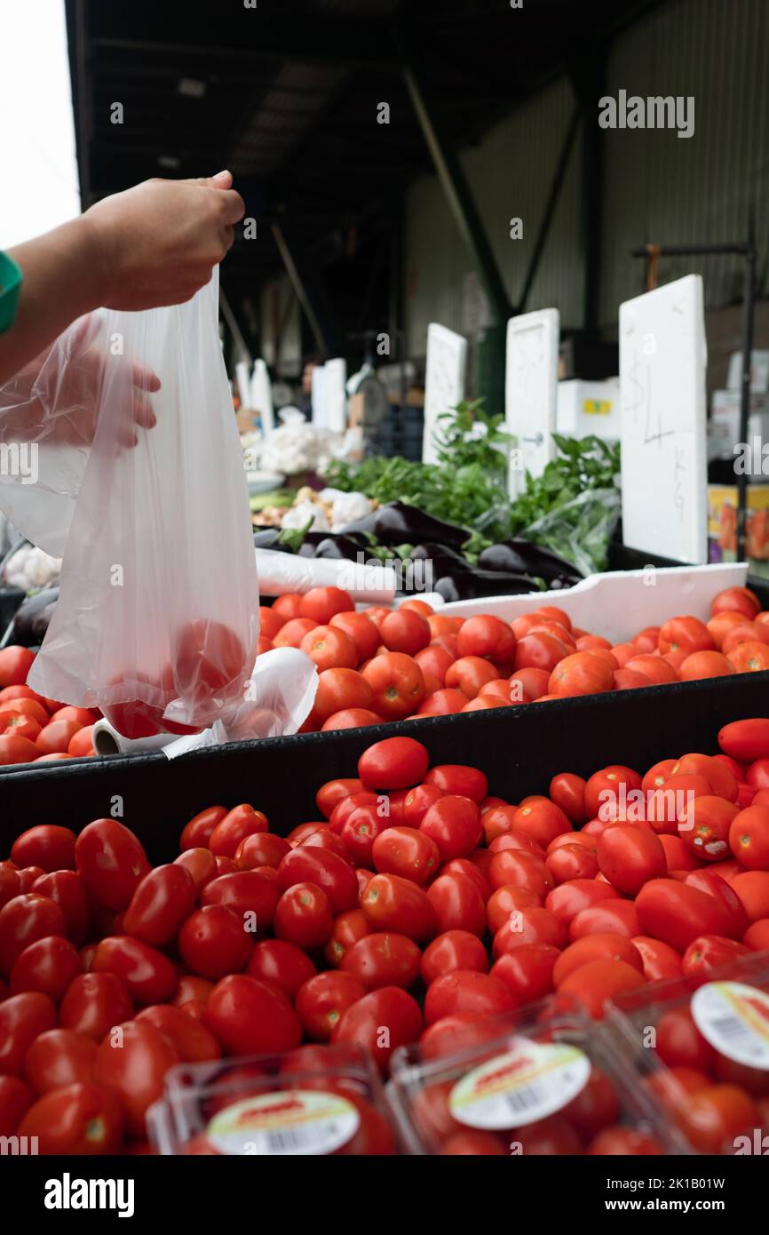 Persona che acquista un sacchetto di pomodori al Paddy's Fresh Food Market di Flemington, Sydney - nuovo Galles del Sud, Australia Foto Stock